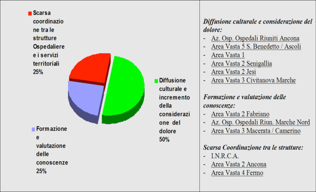 Figura 5 - Principali problemi nella gestione del dolore secondo le opinioni dei dirigenti intervistati